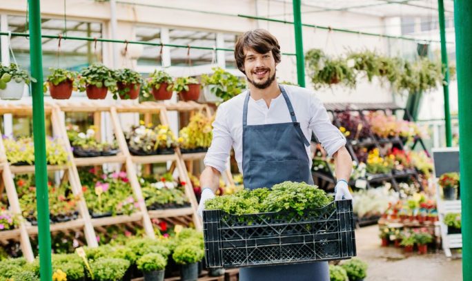 Greenhouses-in-Horticulture