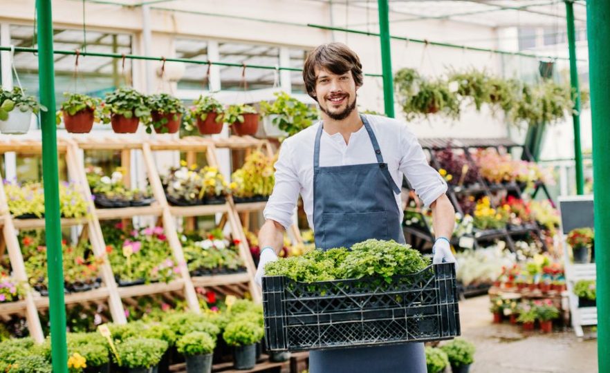 Greenhouses-in-Horticulture