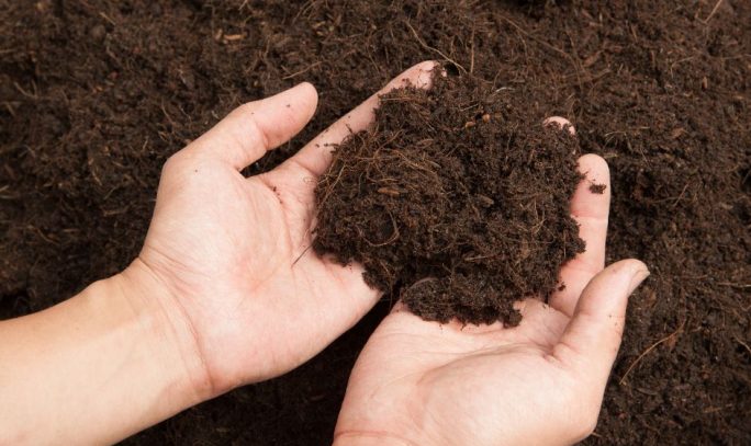 soil-disinfection