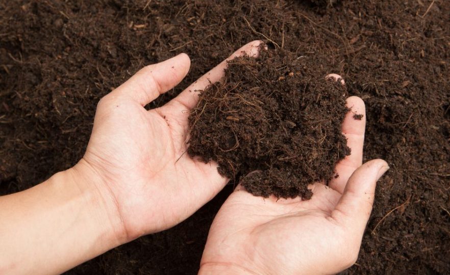 soil-disinfection