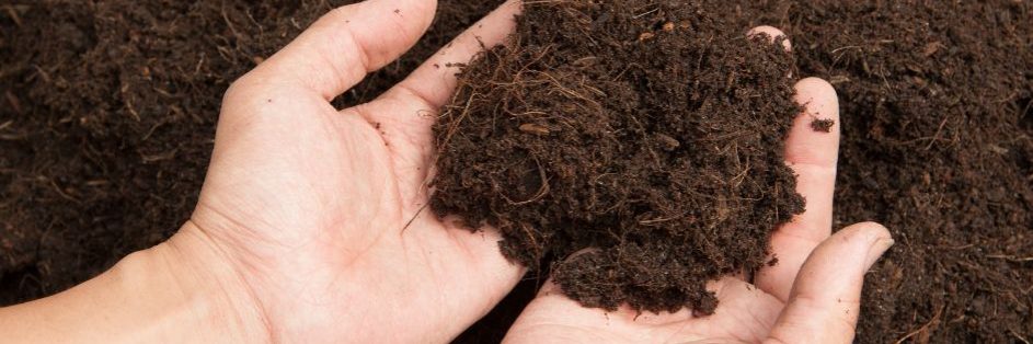 soil disinfection soil-disinfection